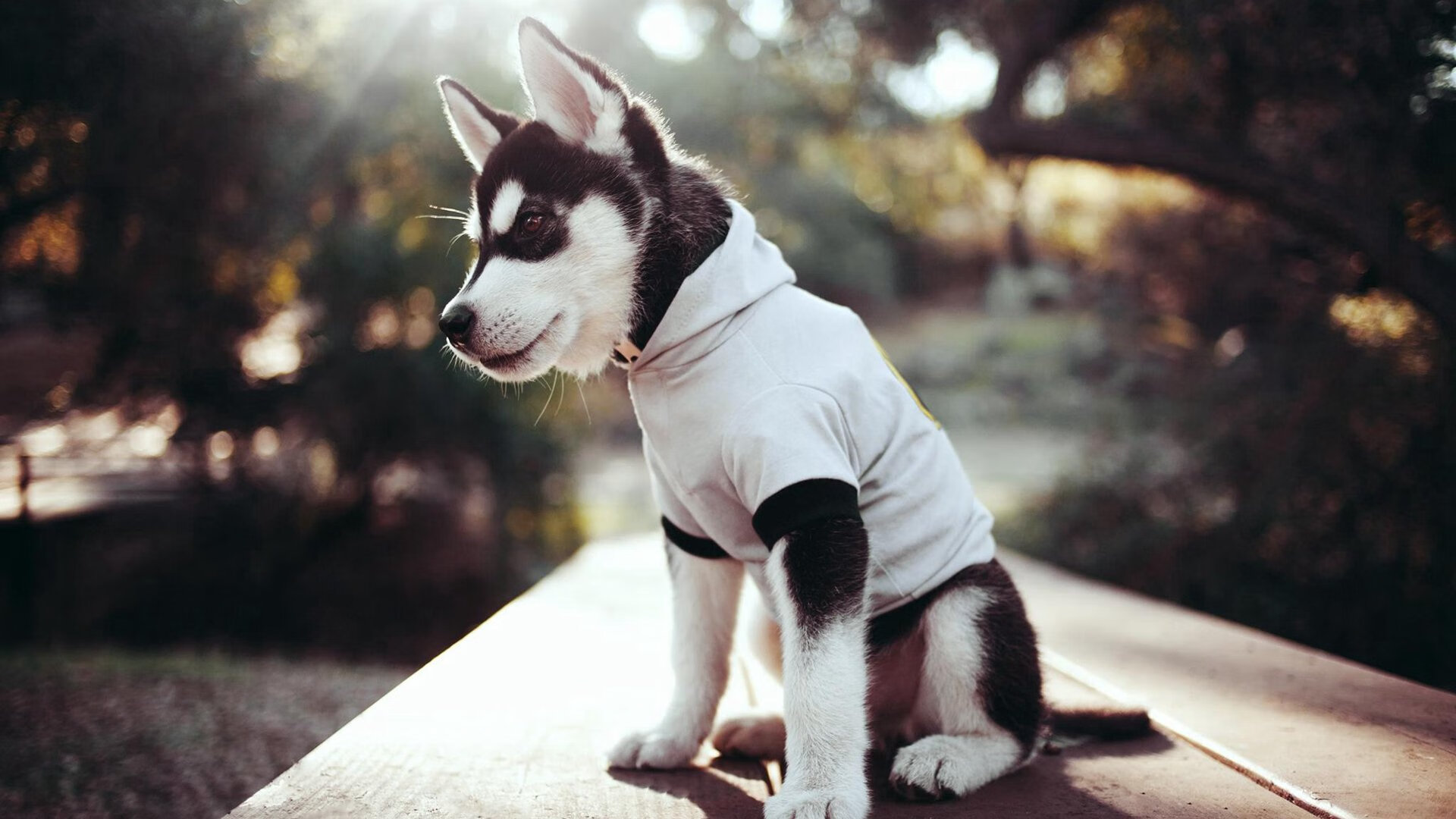 乐鱼体育在线下载-英超青训计划引入数字化情境模拟提升战术意识建立，英超球队训练基地