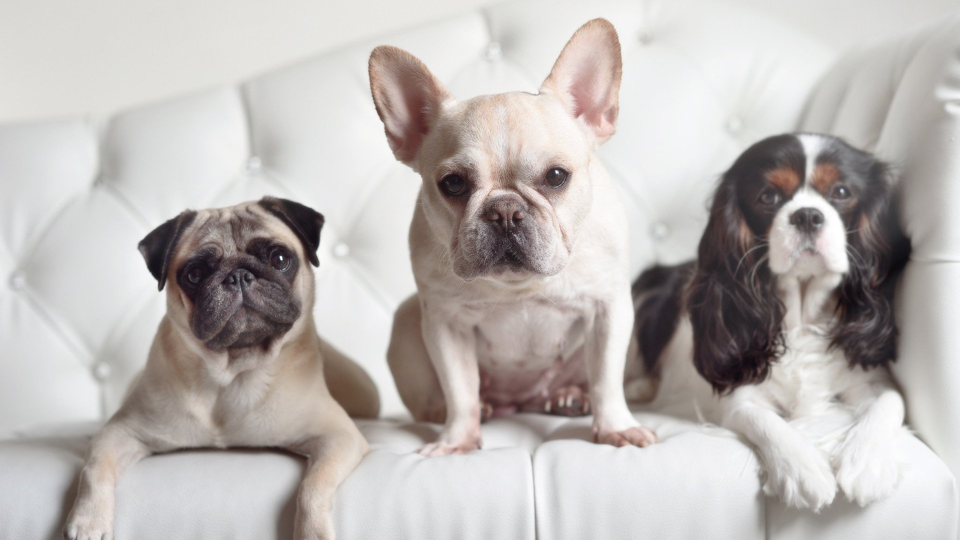 乐鱼官网安全-“新都香城体育中心，福乐球赛场谁主沉浮？”