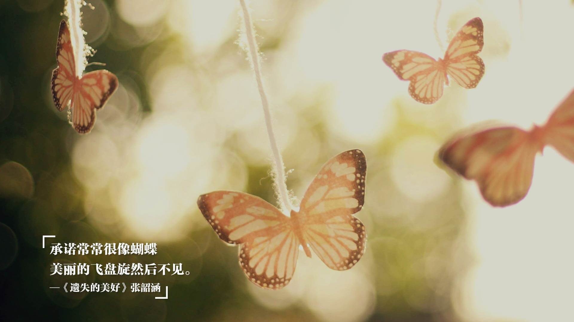 乐鱼体育网址入口-亚洲杯中国女足惨败 球迷反思球队问题,中国女足亚洲区预选赛